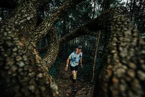 BIB: 
                            <button type="button" onclick="openModal(25674936)" class="btn btn-primary btn-sm float-right btn-popup" data-toggle="modal" data-target=".modal-high-quality">
                        <i class="fas fa-shopping-cart"></i> Add to Cart
                    </button>
                                            <button type="button" onclick="isThisMe(25674936, true)" class="btn btn-success btn-sm float-right btn-popup btn-isme hidden" data-toggle="tooltip" data-placement="bottom" title="นี่คือรูปของคุณใช่ไหม คลิกที่นี่เพื่อเอาเข้าอัลบั้ม">
                        <i class="fas fa-plus"></i> Add to album
                    </button>
                    <button type="button" onclick="isThisMe(25674936, false)" class="btn btn-warning btn-sm float-right btn-popup btn-isnotme hidden">
                        <i class="fas fa-ban"></i> Remove from album
                    </button>